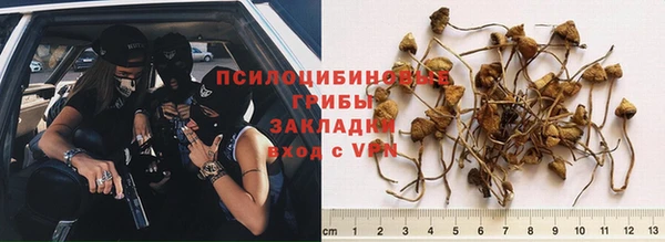 дурь Абинск